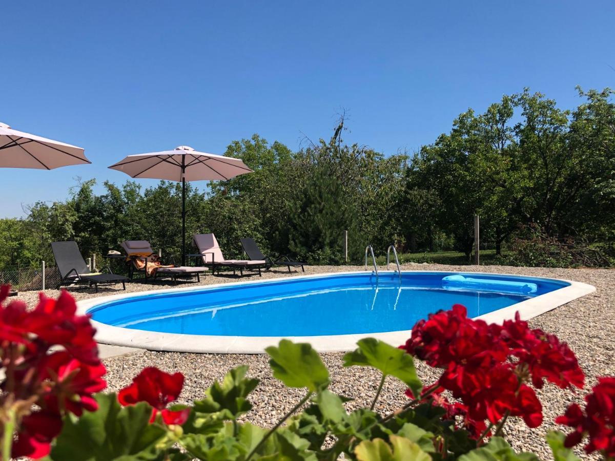 Fruska Pool House Villa Kamanc Kültér fotó