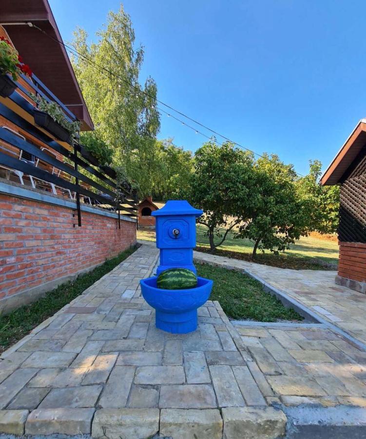 Fruska Pool House Villa Kamanc Kültér fotó