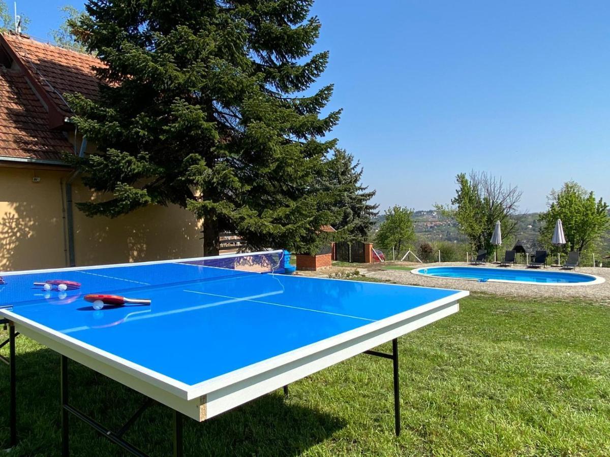 Fruska Pool House Villa Kamanc Kültér fotó