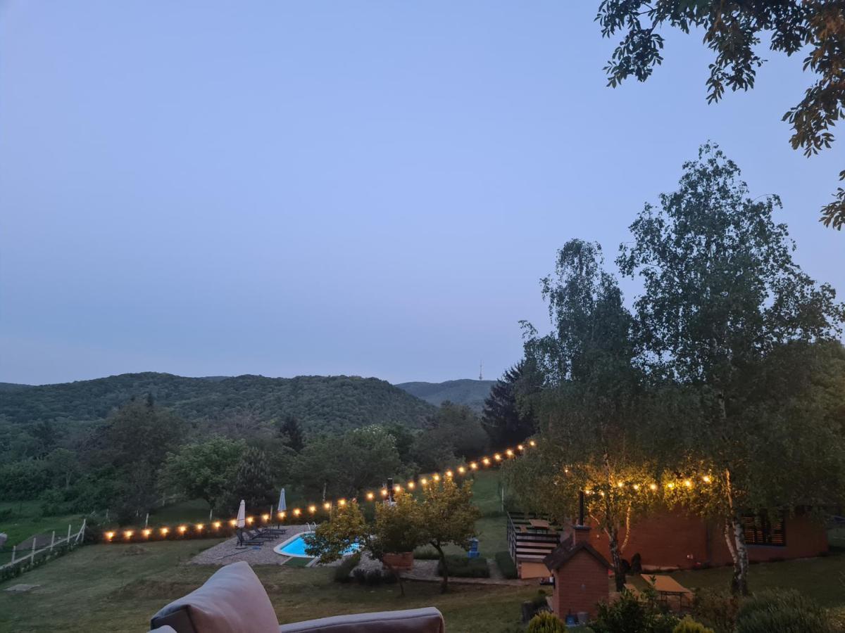 Fruska Pool House Villa Kamanc Kültér fotó