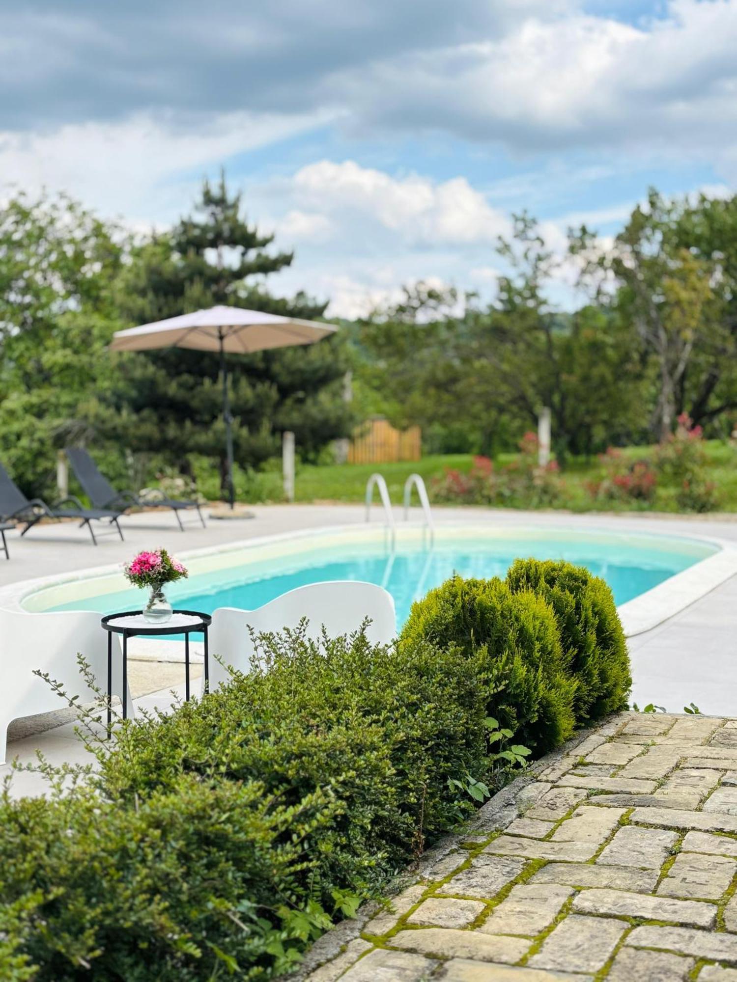 Fruska Pool House Villa Kamanc Kültér fotó