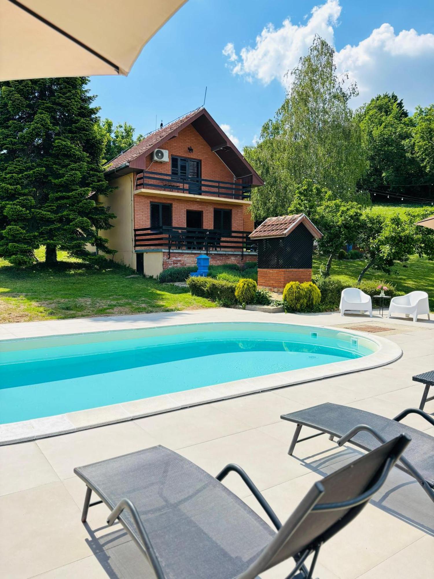 Fruska Pool House Villa Kamanc Kültér fotó